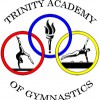 Trinity Academy Of Gymnastics