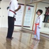 Mojo Dojo Karate