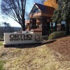 Ortho Sport & Spine Physician