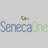 Seneca One Finance