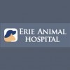 AAA Animal Clinic