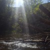 Betsie River Canoes