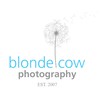 Blonde Cow Photography