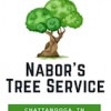 Tc's Tree Service