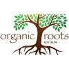 Organic Roots Eco Salon