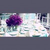 Naples Wedding Catering By Frisco's