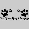 Spots Run Cleaning