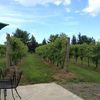 Connecticut Valley Winery