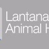 Lantana-Atlantis Animal Hospital