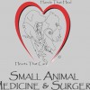 Small Animal Medicine & Surgery