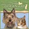 Animal Clinic Of Oceanway