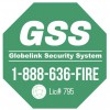 Globelink Security