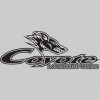 Coyote Motorsports