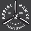 Aerial Hawks