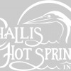 Challis Hot Springs