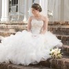 Kaufman Photography