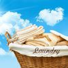 Your Laundry Concierge