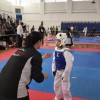 World Champion Taekwondo