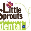 Little Sprouts Dental