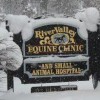 River Valley Veterinary Clinic