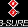 B-Sure Systems