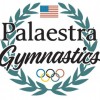 Palaestra Gymnastics Academy