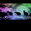 Mystic Kats Psychic Readings