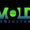 Mold Consultant