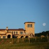 Mari Vineyards