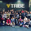 CrossFit Tribe