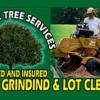 Martinez Tree Service