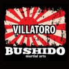 Villatoro Bushido Martial Arts