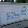 Boise Acupuncture