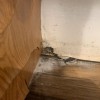 Asbestos Abatement