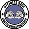 Carlson Gracie Jiu Jitsu Anaheim