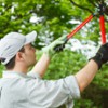 Bostwick Tree Service