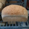 Great Harvest Bread