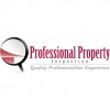 Professional Property Inspection Consultants