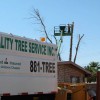 Quality Tree Service