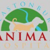 Glastonbury Animal Hospital