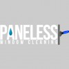 Paneless Window Cleaning