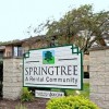 Springtree Apartments