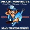 Drain Monkeys