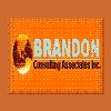 Brandon Consulting Associates