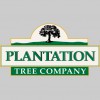 Plantation Tree