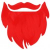 Red Beard Insurance Group