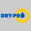 Dry-Pro Basement Systems