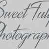 Sweet Tulip Photography