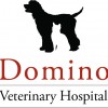 Domino Veterinary Hospital