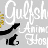 Gulfshore Animal Hospital